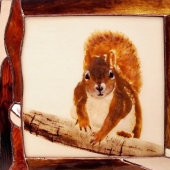 Krivy (1) Img #1  Mr. Mischief