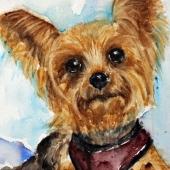 Krutsinger (2) Img #5 Cooper