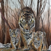 Lee-C (1) Img #2  Family