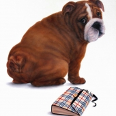 Leslie-Allen (1) Img #1 In Trouble Again