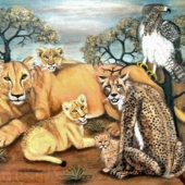 Levinsohn (3) Img #1 Last Look