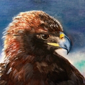 Lough (1) Img #5  Golden Eagle