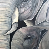 Lowe (3) Img #1  Elephants