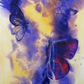 Marinello (1) Img #1  Flight Plan