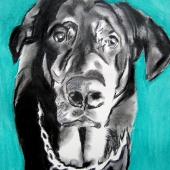 Martin-J (1) Img #1 Bogie