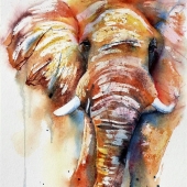 Muensterer-Maar (1) Img #2  Gentle Giant