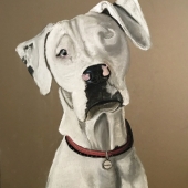 Paulson (2) Img #1  Doofus