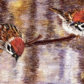 Puchkova-Shakitko (1) Img #2  Sparrows