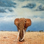 Sardelli (1) Img #2 Impending Storm