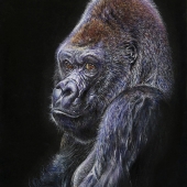 Simmons (1) Img #2  Not Many of Us Left