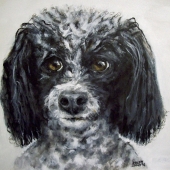 Songy (1) Img #1  Angel