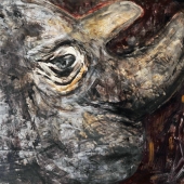 Sulic (1) Img #1 Sudan (Rhino)