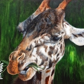 Thompson-T (1) Img #1  Daisy