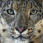 Watkins (1) Img #1  Hear My Voice