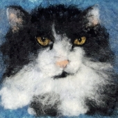 Weber-S (1) Img #5 Jack