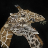 1st Place - Paint - Johnson (1) Img #5  Two Pair