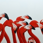 6th Place - Paint - Groom (1) Img #3  Looook Into My Eyesss