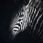 7th Place - Paint - Fisher (1) Img #1  In the Spotlight