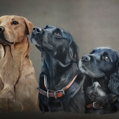 8th Place - Paint - Snowdon (1) Img #1  The A Team