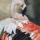 HM - Paint - Anderson (1) Img #3  A Fancy Feathers