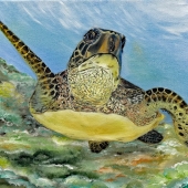 HM - Paint - Fonda (2) Img #1  A Honu Life