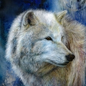 HM - Paint - Hide (1) Img #1  Ghost Patrol