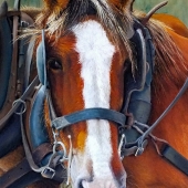 HM - Paint - Millard (1) Img #1  Cameo