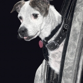 HM - Paint - Ranlett (1) Img #1  Lets Go