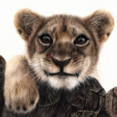 HM - Paint - Serstinskaja (1) Img #2  Lion Cub