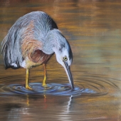 HM - Paint - Wood (1) Img #2  Heron Mealtime