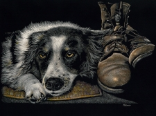 C - 3rd Place - OA - Palmer (1) Img #1  Forever Faithful