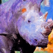 Bonham (DB Jr) Wide Rhino