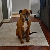 Crane (1) Img #2  Leaving Again