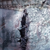 Cronin (1) Img #2  The Royal Seahorses