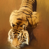 Emerson (1) Img #1  Before The Hunt