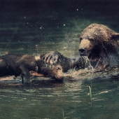 Goodrich (1) Img #2 Gentle Reassurance