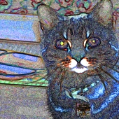 Haskell (1) Img #1  Mabel