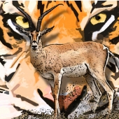 Keim (1) Img #2  Dinner is Served