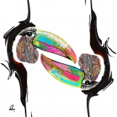 Ravan (2) Img #1  Toot Birds