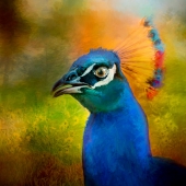 HM - Photo - Benjamin (1) Img #2 Spring Awakening