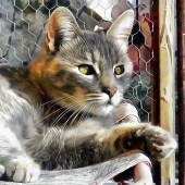 HM - Photo - Berry-Lound (1) Img #2  Enjoying The Spring Sunshine