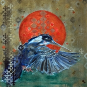 HM - Photo - Ustunkaya (Loosh) (1) Img #1 Visions of the Kingfisher
