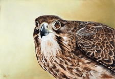 9th Place – OA - Category - Nicola Reif  – “Huntress”