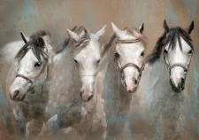 H - 8th Place - OA - Russell (1) Img #2  Four Faces