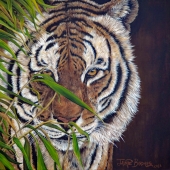 Barchus (1) Img #2  The Prowl