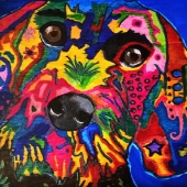 Brass (2) Img #1  Bavarian Dachshund with Character