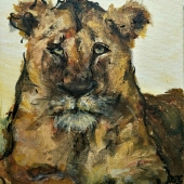 Evans (1) Img #1  African Lion in the Wild