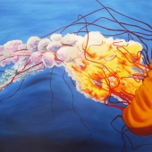 Grilli (1) Img #1  Propeller