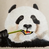 Haskard  (1) Img #1  Panda