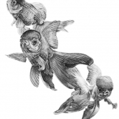 Hines (1) Img #1 Fancy Fish